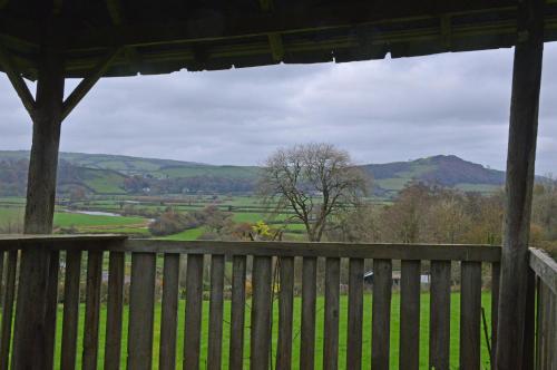 Bryn Hebog - image 13
