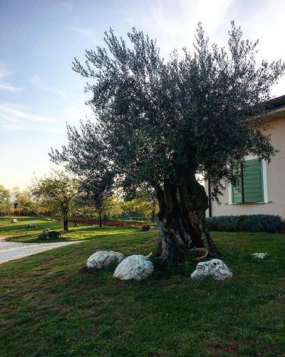 Agriturismo di Charme erbadoro - image 7