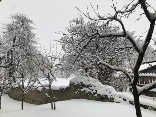 Garni Glurnserhof - image 7