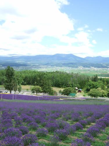 上富良野旅馆