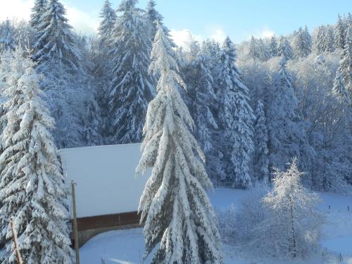 la Charbonnière (la Charbonniere) in Bellefosse