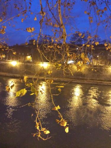 Trastevere Star - image 2