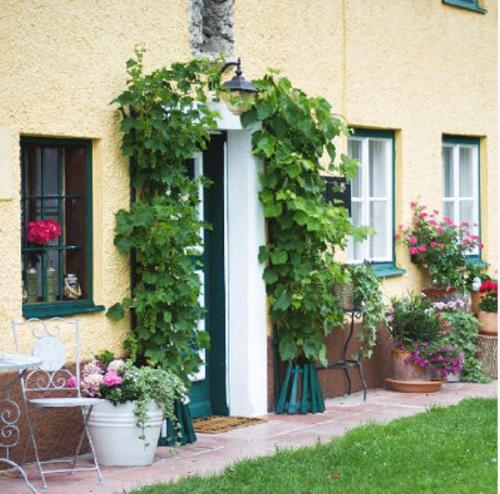 Ferienwohnung Alpenblick