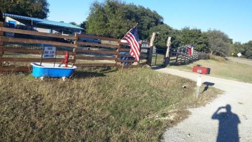 Constantino Farms - image 3