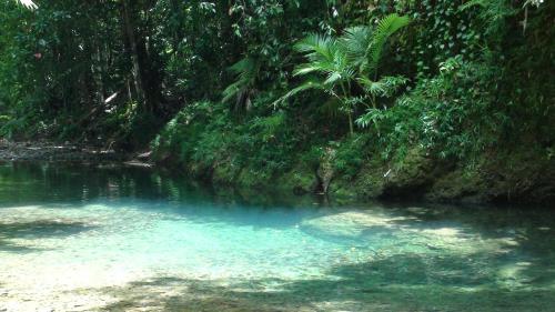 Heritage Lodge In the Daintree