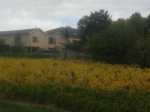 La Maison des Vignes