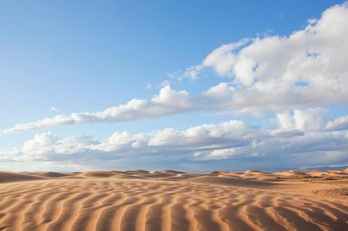 Bivouac La Dune Blanche