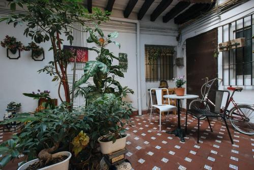 

Nativo Centro Sevilla 2