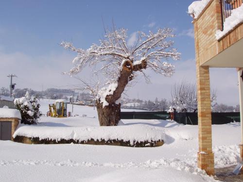 Azienda Agrituristica Le Bucoliche