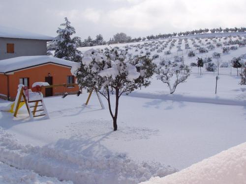 Azienda Agrituristica Le Bucoliche