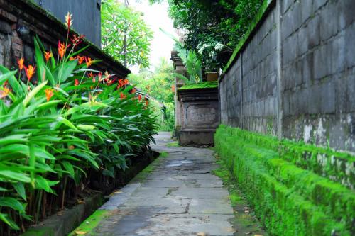 Sedana Jaya - image 5