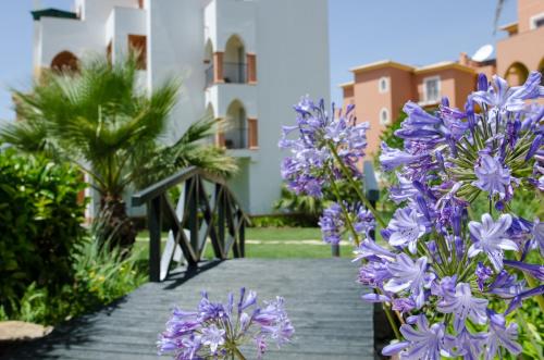 Jardim da Meia Praia Resort - image 7