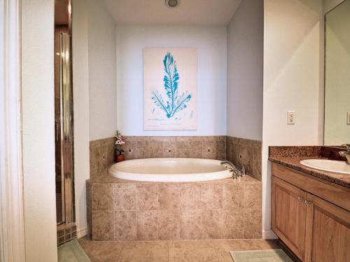 Harborview Grande 503 - image 3