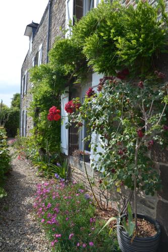 Le clos de la vigne photo 22