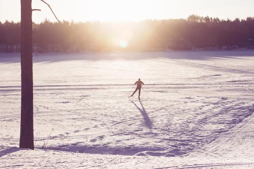 Vuokatti Sport Resort - image 5