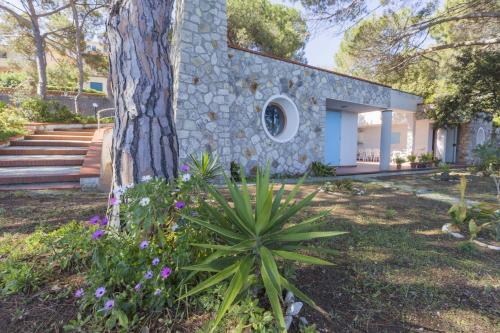 Villa Meridiana - main image