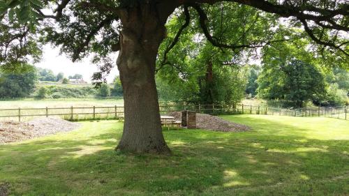 Oakerthorpe Holiday Village - image 10