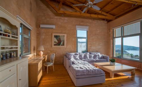 Olea Prime - image 9