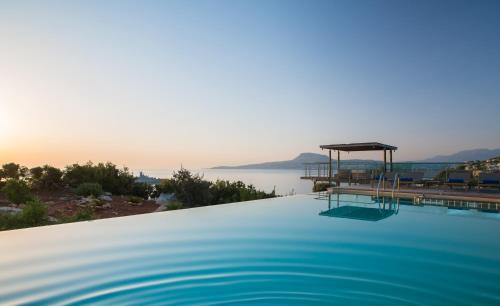 Olea Prime - image 5