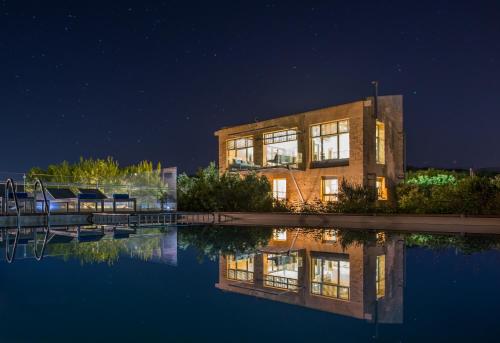 Olea Prime - image 3
