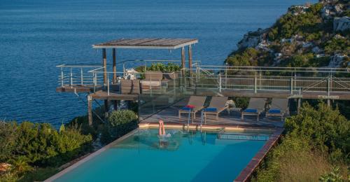 Olea Prime - image 11