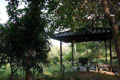 Twin Villas Apartment with Swimming Pool for 2 houses Twin Villas Apartment with Swimming Pool for 2 houses