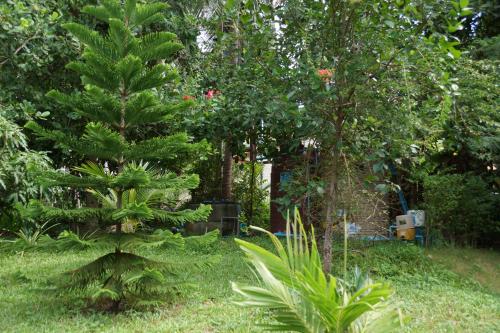 Twin Villas Apartment with Swimming Pool for 2 houses Twin Villas Apartment with Swimming Pool for 2 houses