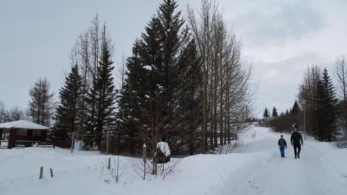 Tehúsið Hostel