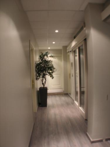 Residence La Repubblica - image 11