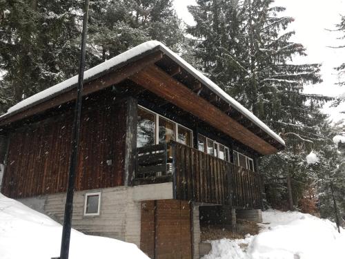 Accommodation in Borca di Cadore