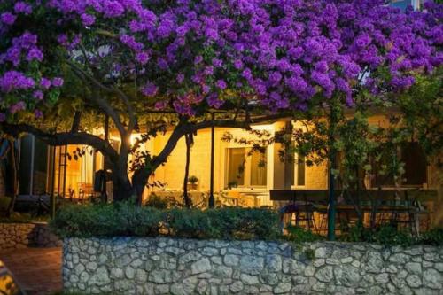 Entrance, Apartmani Galic in Bacina