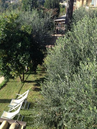 Hotel Tempio di Apollo - image 3