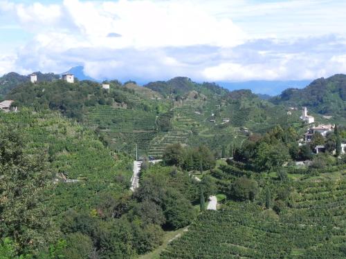 da Meri tra le colline del prosecco DOCG locazione turistica