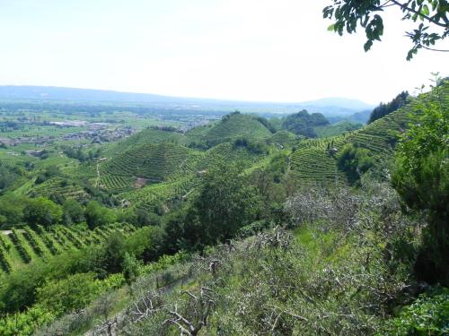 da Meri tra le colline del prosecco DOCG locazione turistica