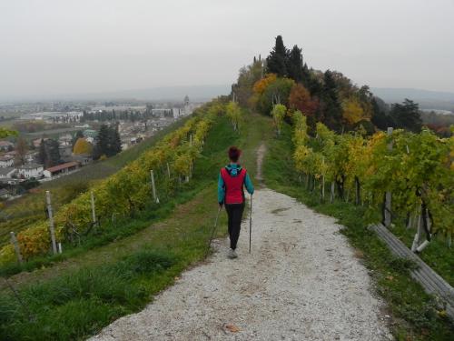 da Meri tra le colline del prosecco DOCG locazione turistica