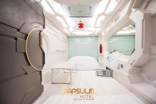 The Capsule Hotel - image 8