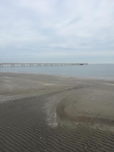  Holiday Home Resy in Lido di Volano