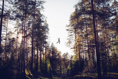 Vuokatti Sport Resort - image 12