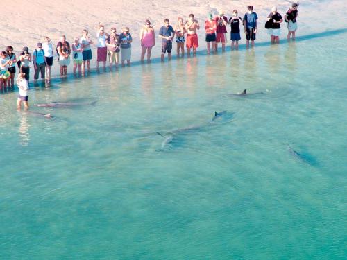 Monkey Mia Dolphin Resort