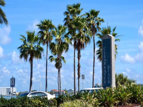 Gone Beaching 202 - image 7