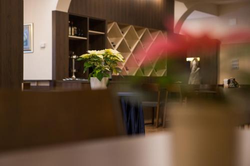 Hotel Zvonimir - image 9