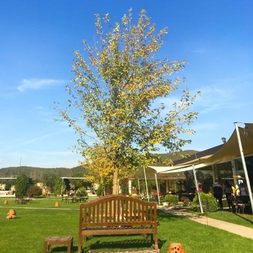 Riva S Club Hotel In Polonezkoy Turkey 60 Reviews Price From 97 Planet Of Hotels