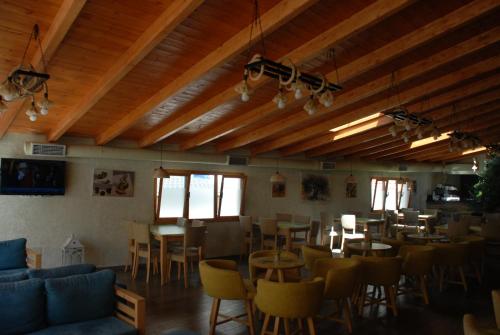 Olive Tree - image 3