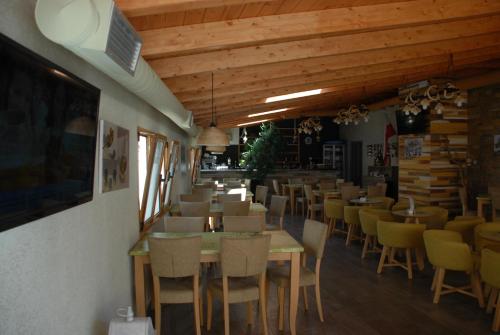 Olive Tree - image 6
