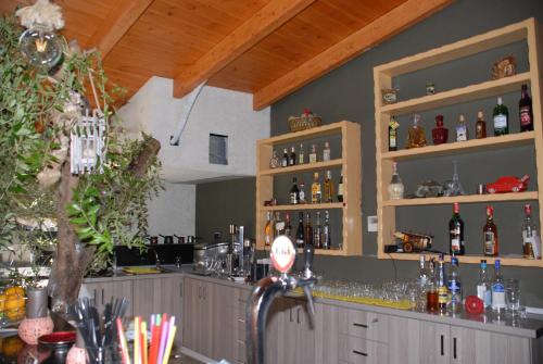 Olive Tree - image 12