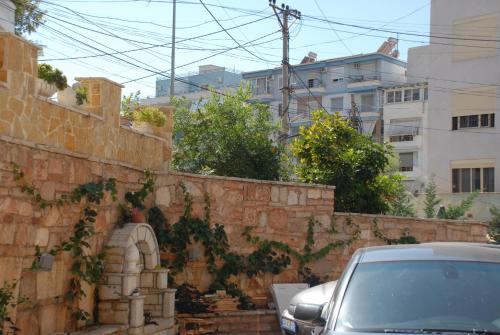 Olive Tree - image 7