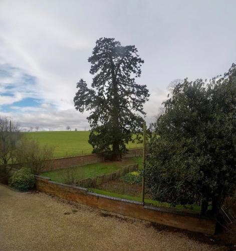 Whitchurch Farm Guesthouse Room Type - Small Double Room