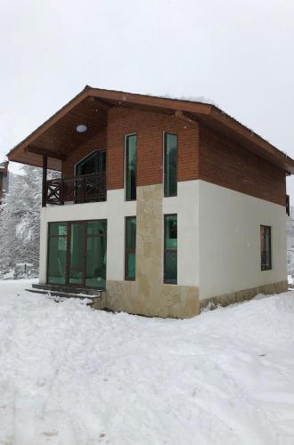 Cottage in Bakuriani, Бакуриани (фото 4)