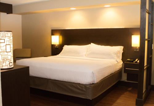 Holiday Inn Express & Suites San Antonio Medical Center North by IHG in San Antonio, USA