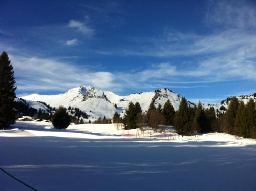 Terrasses Du Mont Blanc